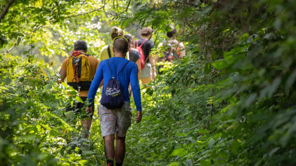 Grupo de pessoas caminhando por uma trilha cercada por vegetação densa.
