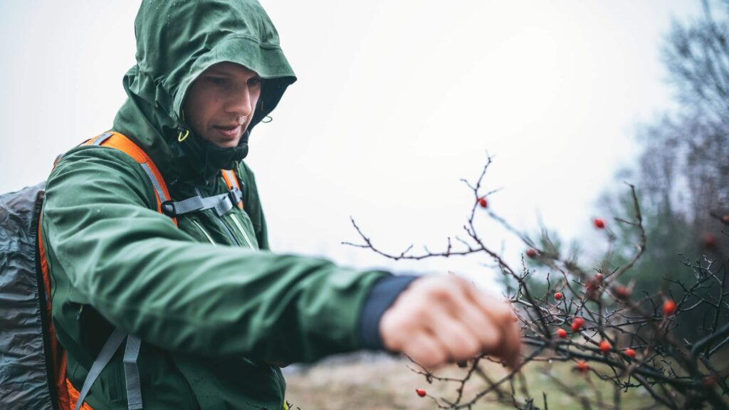 Pessoa em jaqueta de chuva tocando frutos vermelhos durante uma caminhada na natureza.